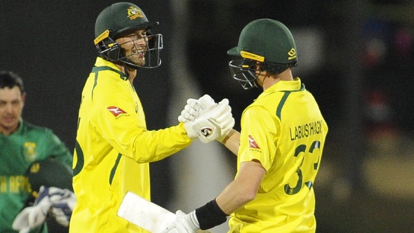 concussion substitute